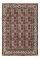 Moud Tapete 337x237cm - Tapete persa