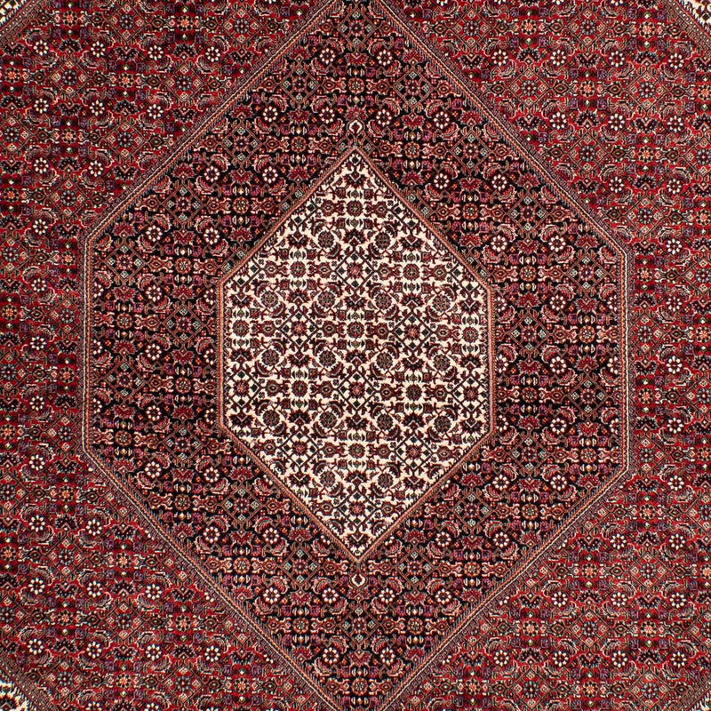 Bidjar Tapete 304x204cm - Tapete persa