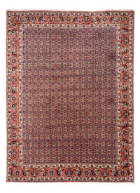 Bidjar - Takab Tapete 248x332cm - Tapete persa – product image
