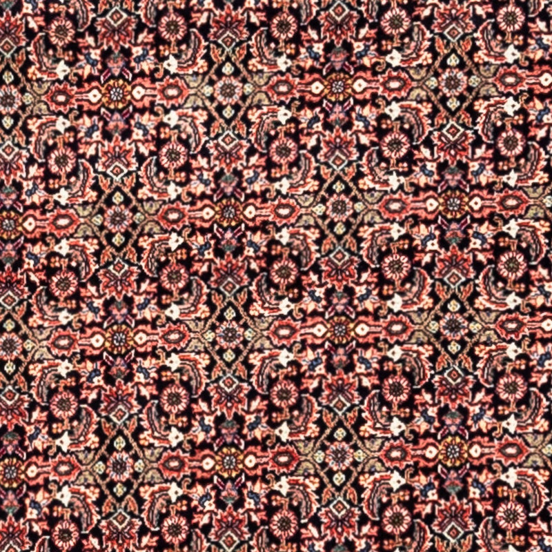 Bidjar - Takab Tapete 332x248cm - Tapete persa