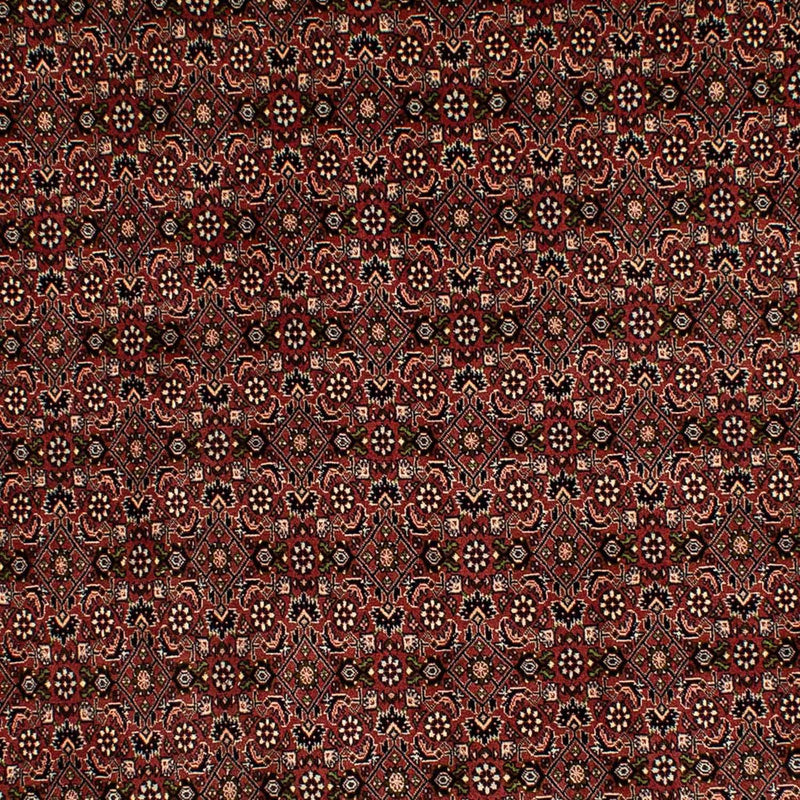 Bidjar Tapete 293x198cm - Tapete persa