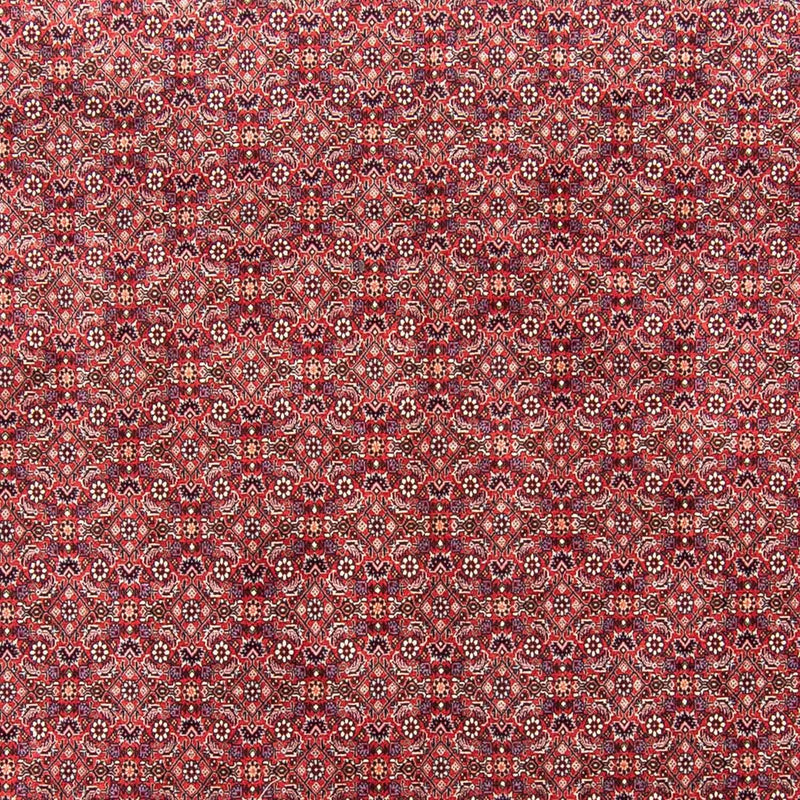 Bidjar Tapete 343x251cm - Tapete persa