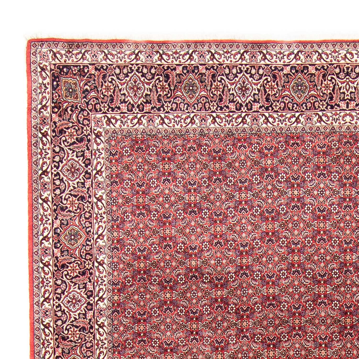 Bidjar Tapete 343x251cm - Tapete persa