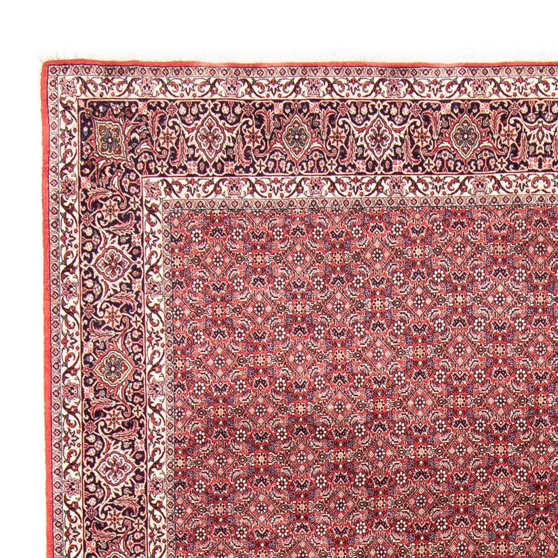 Bidjar Tapete 343x251cm - Tapete persa