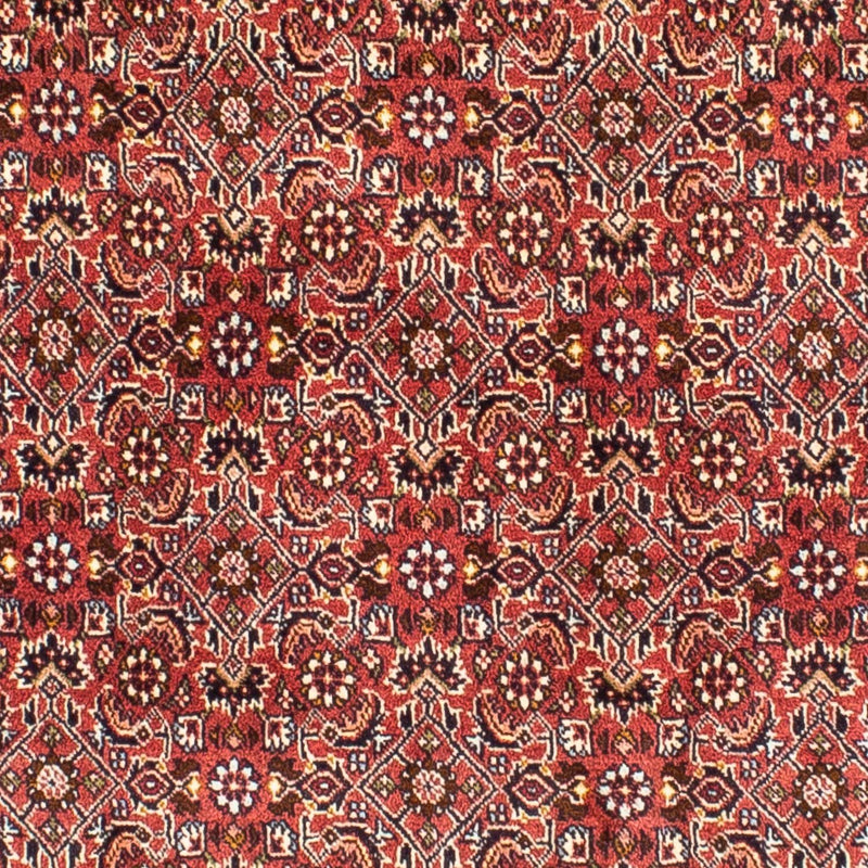Bidjar Tapete 197x190cm - Tapete persa