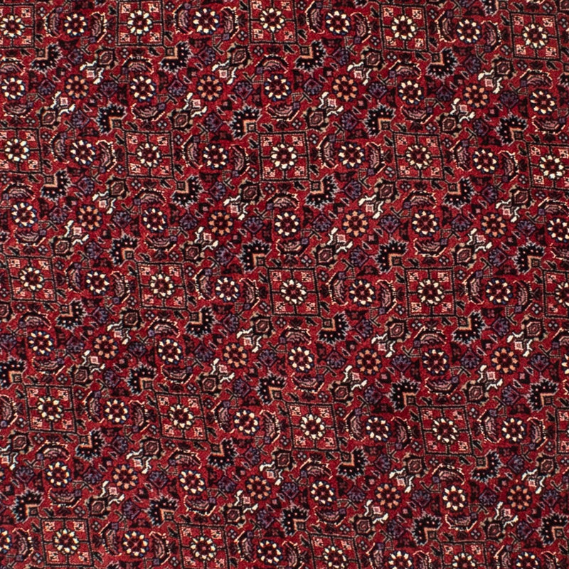 Bidjar Tapete 150x150cm - Tapete persa