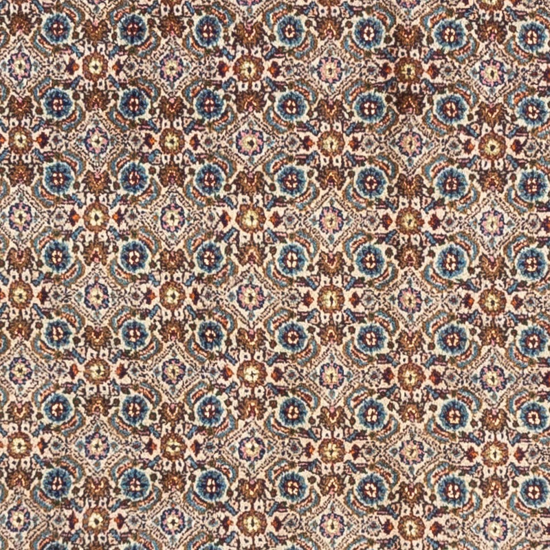 Moud Tapete 240x170cm - Tapete persa
