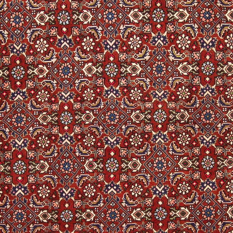 Bidjar Tapete 160x108cm - Tapete persa