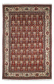 Kashkuli Tapete 261x175cm - Tapete persa