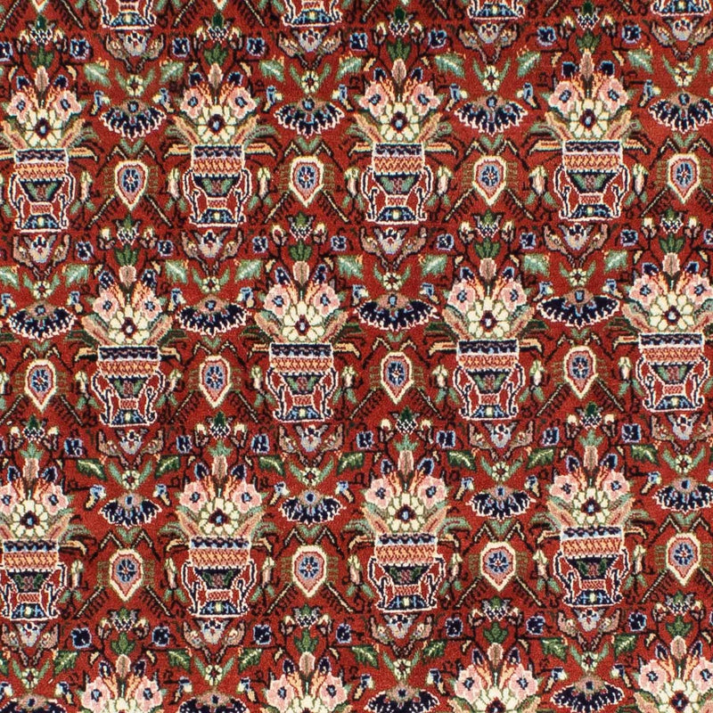 Kashkuli Tapete 261x175cm - Tapete persa