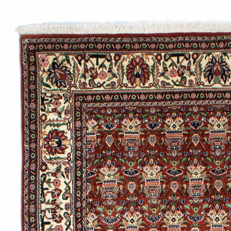 Kashkuli Tapete 261x175cm - Tapete persa