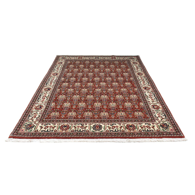 Kashkuli Tapete 261x175cm - Tapete persa