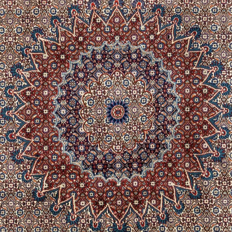 Moud Tapete 332x245cm - Tapete persa