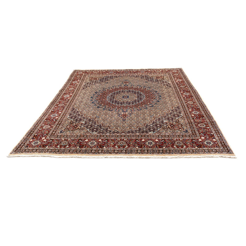 Moud Tapete 332x245cm - Tapete persa