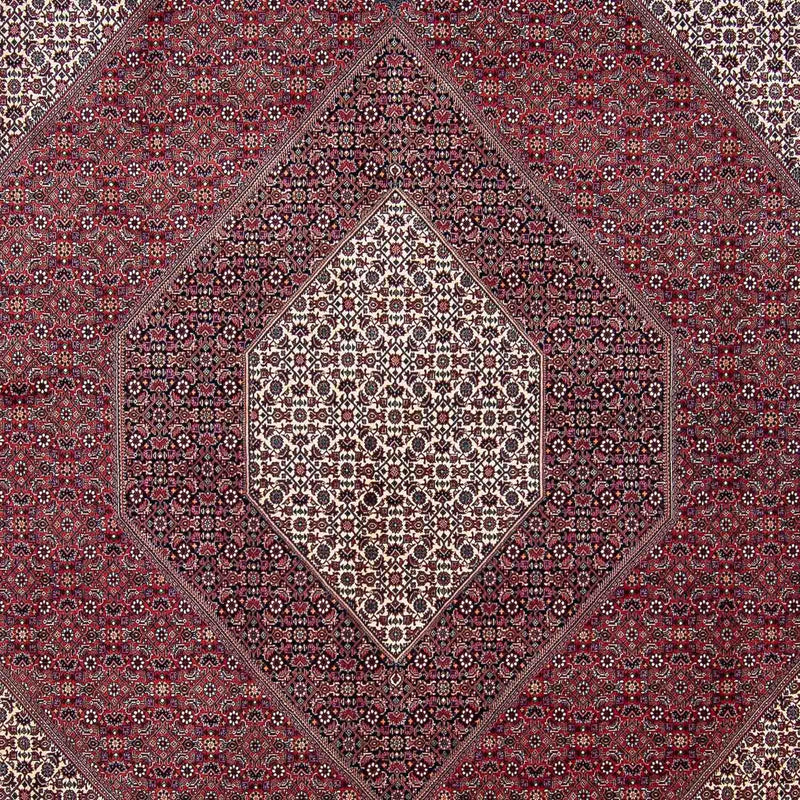 Bidjar Tapete 340x300cm - Tapete persa