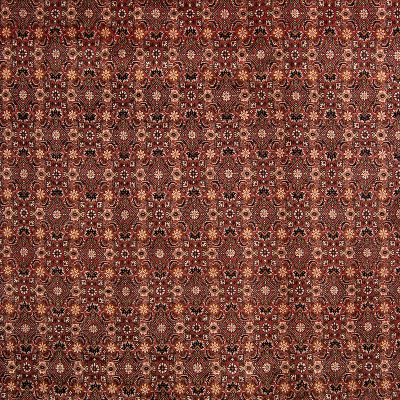Bidjar Tapete 252x352cm - Tapete persa