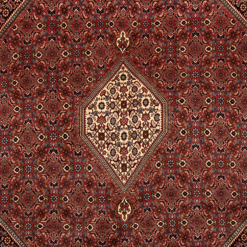 Bidjar Tapete 255x329cm - Tapete persa