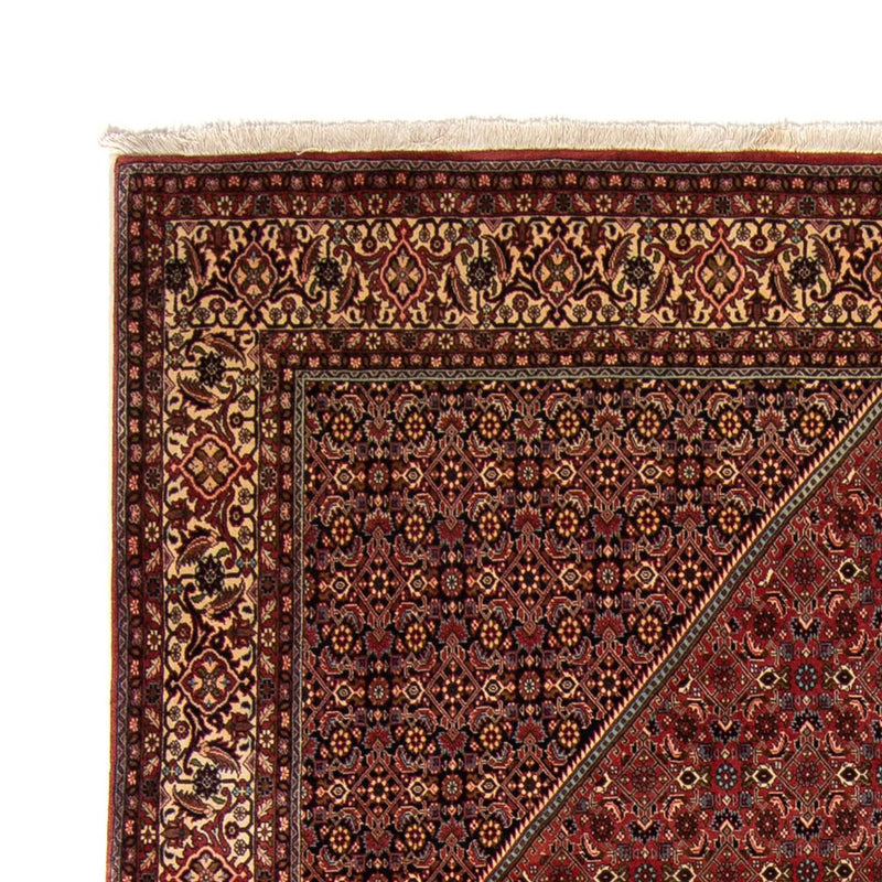 Bidjar Tapete 255x329cm - Tapete persa