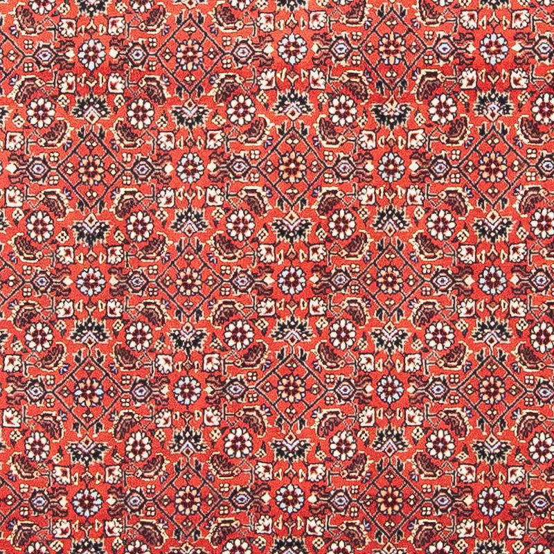 Bidjar Tapete 97x95cm - Tapete persa