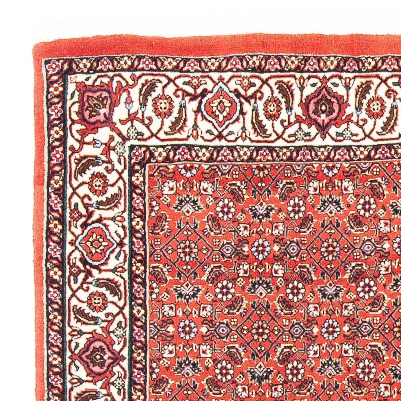 Bidjar Tapete 97x95cm - Tapete persa