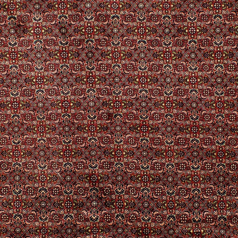 Bidjar Tapete 202x298cm - Tapete persa