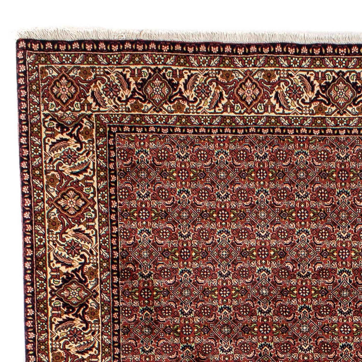 Bidjar Tapete 202x298cm - Tapete persa