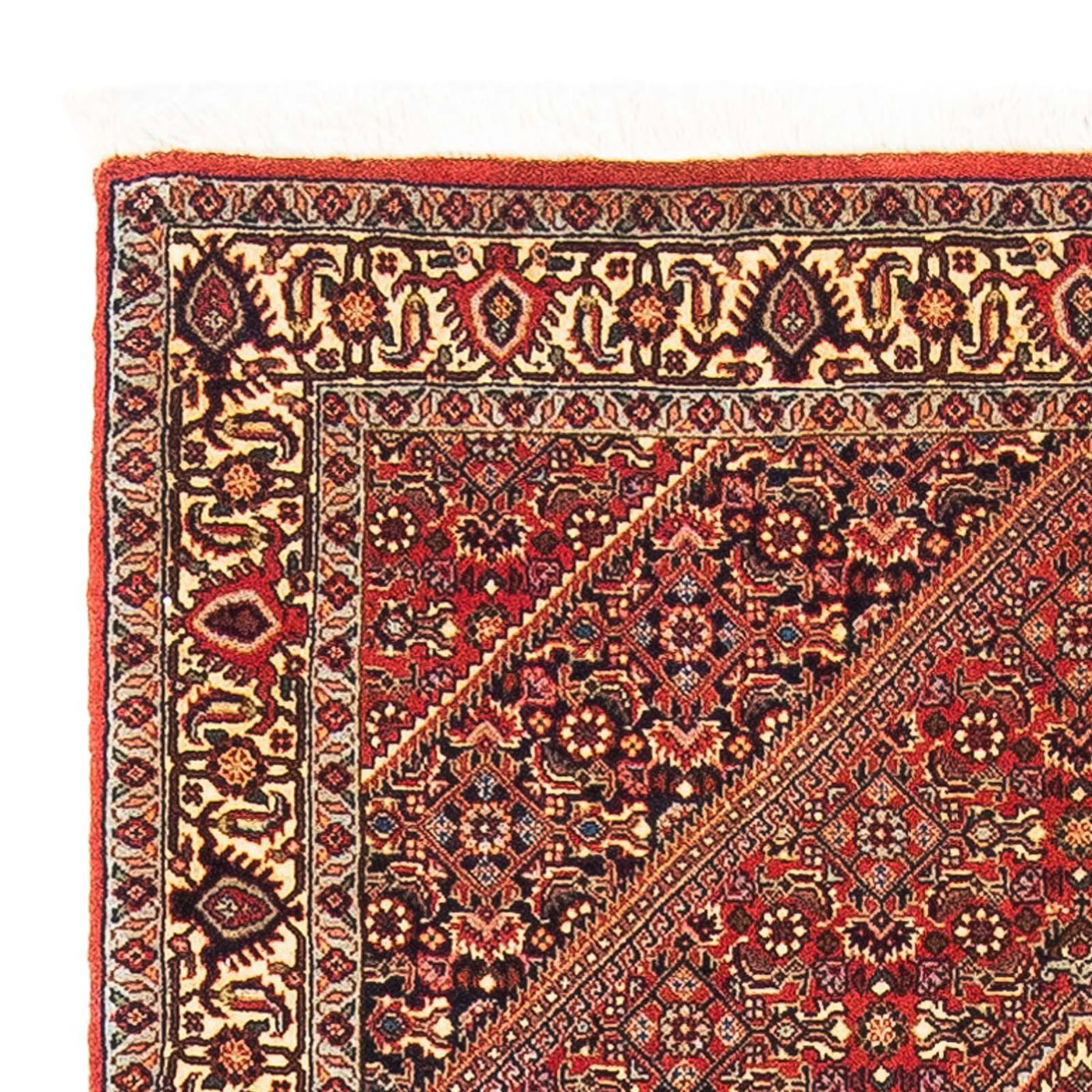 Bidjar Tapete 153x89cm - Tapete persa