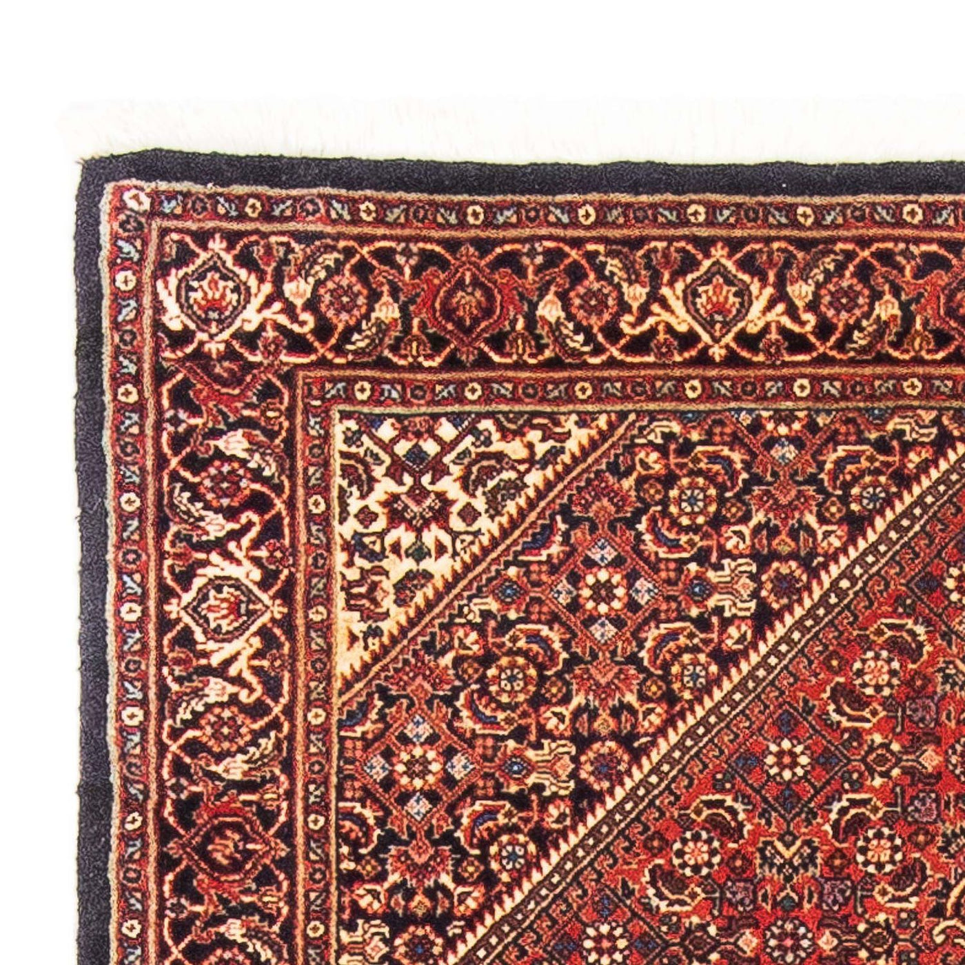 Bidjar Tapete 153x92cm - Tapete persa