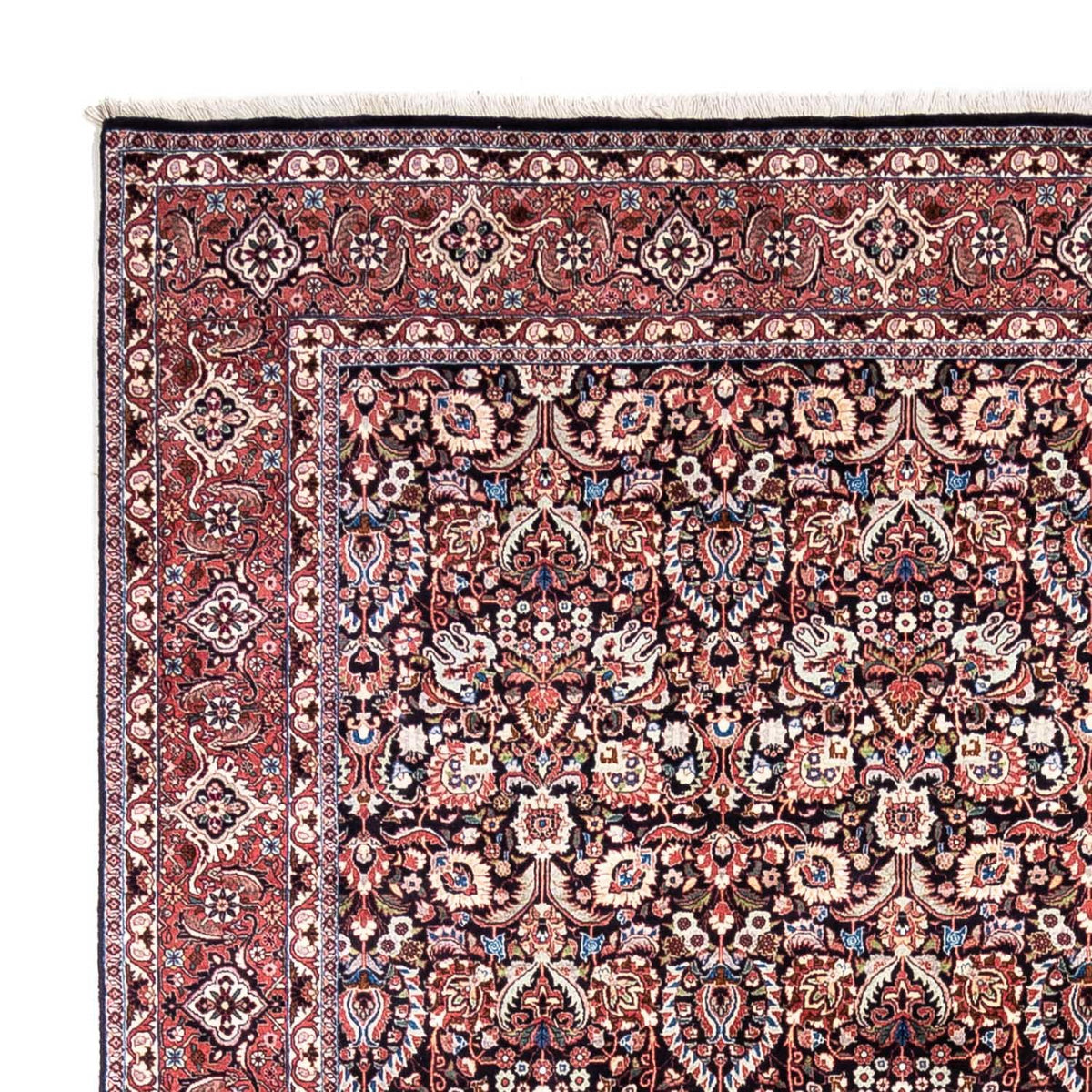 Bidjar - Takab Tapete 258x348cm - Tapete persa