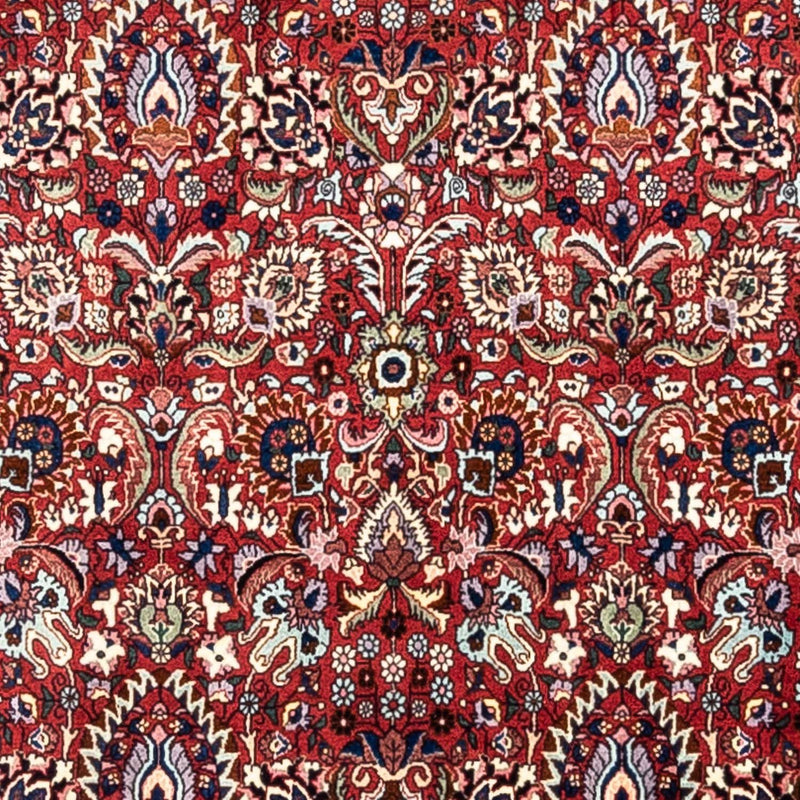 Bidjar - Takab Tapete 343x255cm - Tapete persa