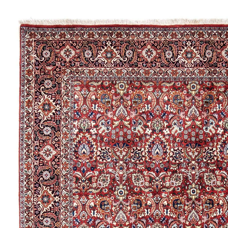 Bidjar - Takab Tapete 343x255cm - Tapete persa