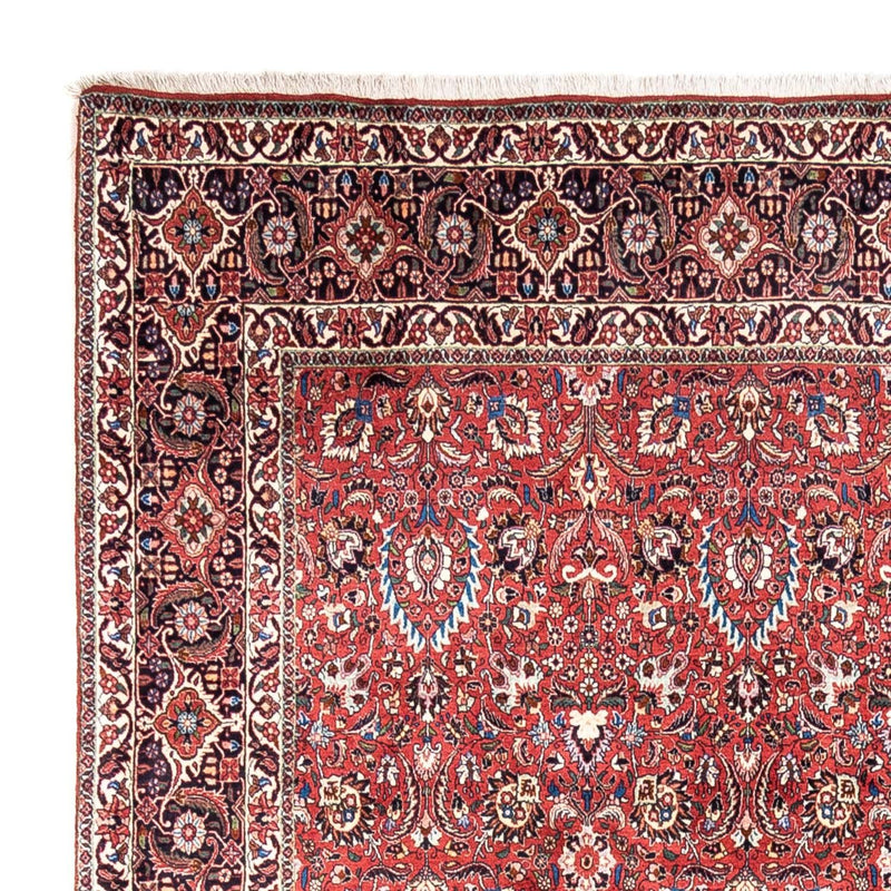 Bidjar - Takab Tapete 346x250cm - Tapete persa