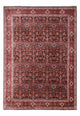 Bidjar - Takab Tapete 342x256cm - Tapete persa