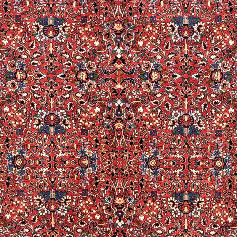 Tabriz - 50 Raj Tapete 346x250cm - Tapete persa