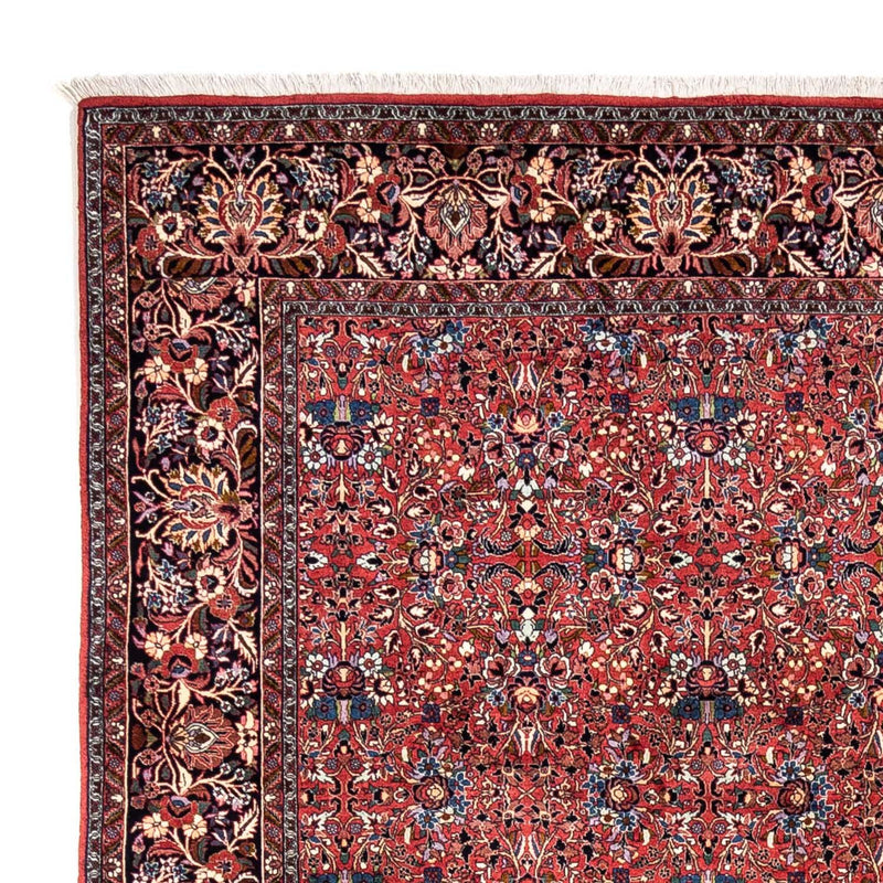 Tabriz - 50 Raj Tapete 346x250cm - Tapete persa
