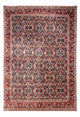Bidjar - Takab Tapete 357x253cm - Tapete persa