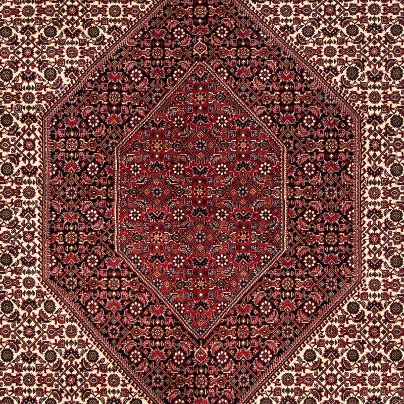 Bidjar Tapete 171x251cm - Tapete persa