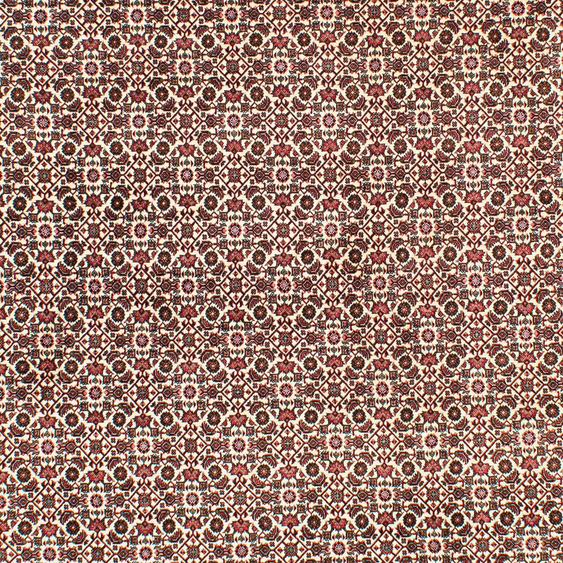 Bidjar Tapete 294x200cm - Tapete persa