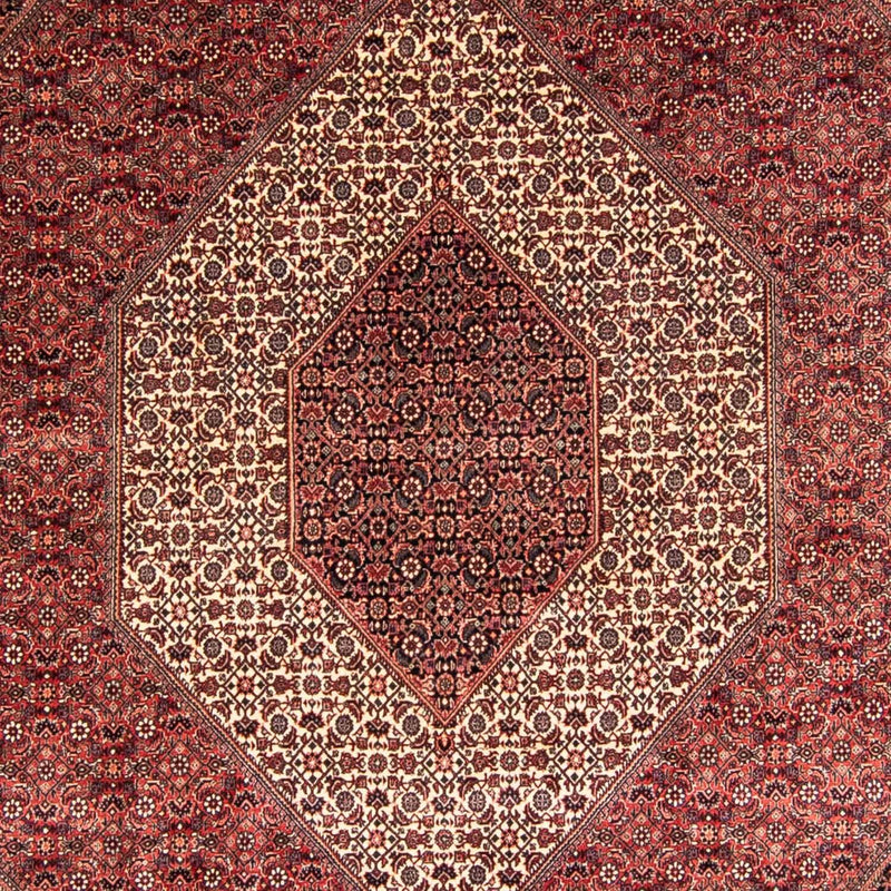 Bidjar Tapete 340x252cm - Tapete persa
