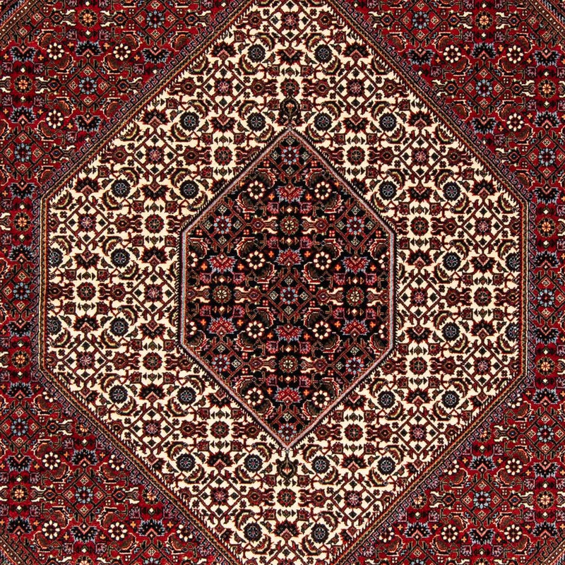 Bidjar Tapete 172x245cm - Tapete persa