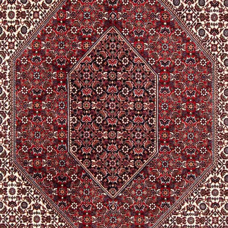 Bidjar Tapete 170x241cm - Tapete persa