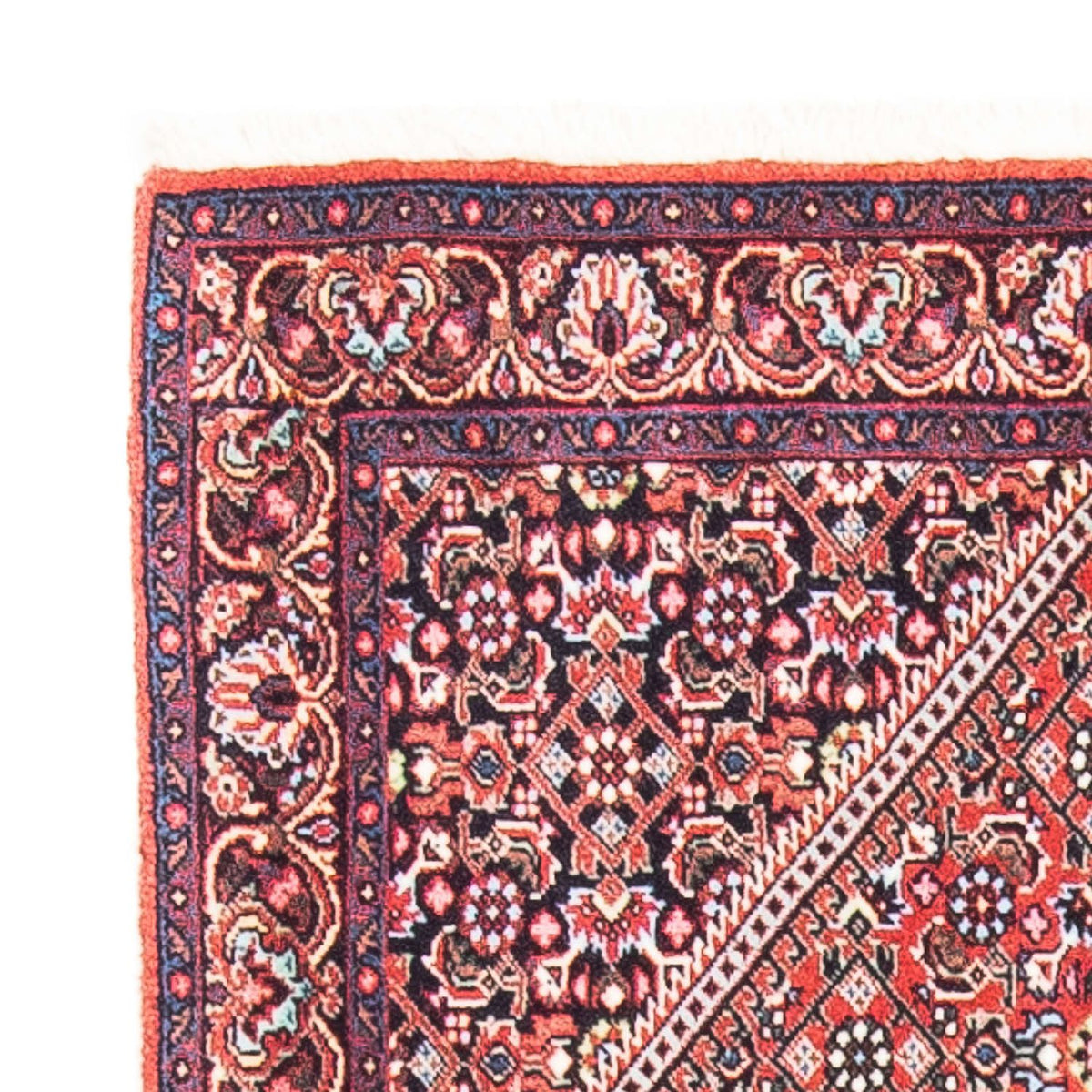 Bidjar Tapete 72x135cm - Tapete persa