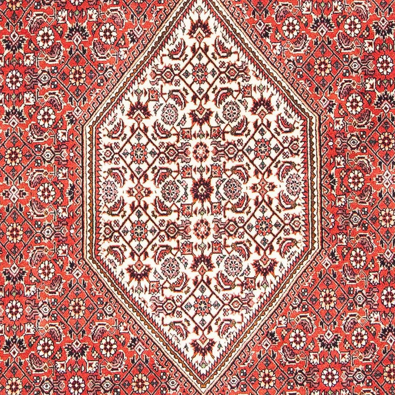 Bidjar Tapete 109x181cm - Tapete persa