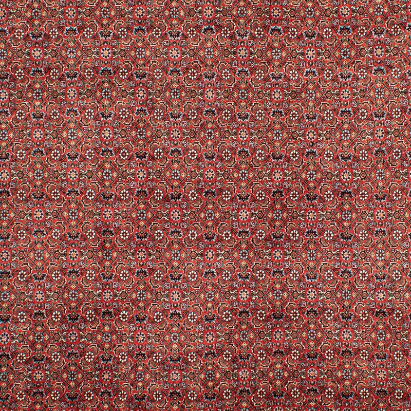 Bidjar Tapete 208x307cm - Tapete persa