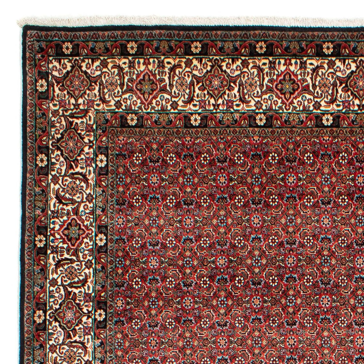 Bidjar Tapete 208x307cm - Tapete persa