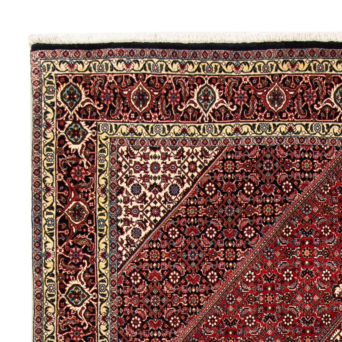 Bidjar Tapete 170x252cm - Tapete persa
