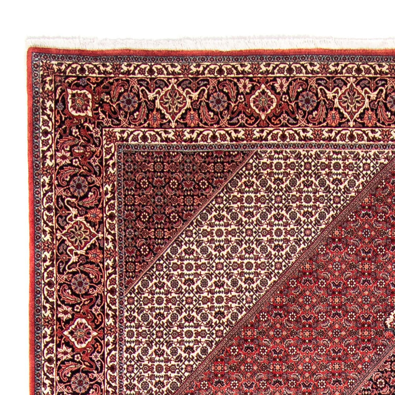 Bidjar Tapete 248x355cm - Tapete persa