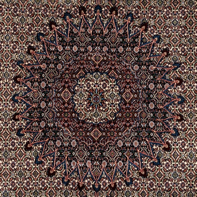 Moud Tapete 348x244cm - Tapete persa