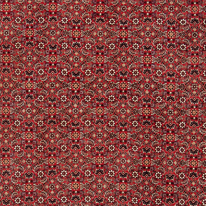 Bidjar Tapete 248x174cm - Tapete persa
