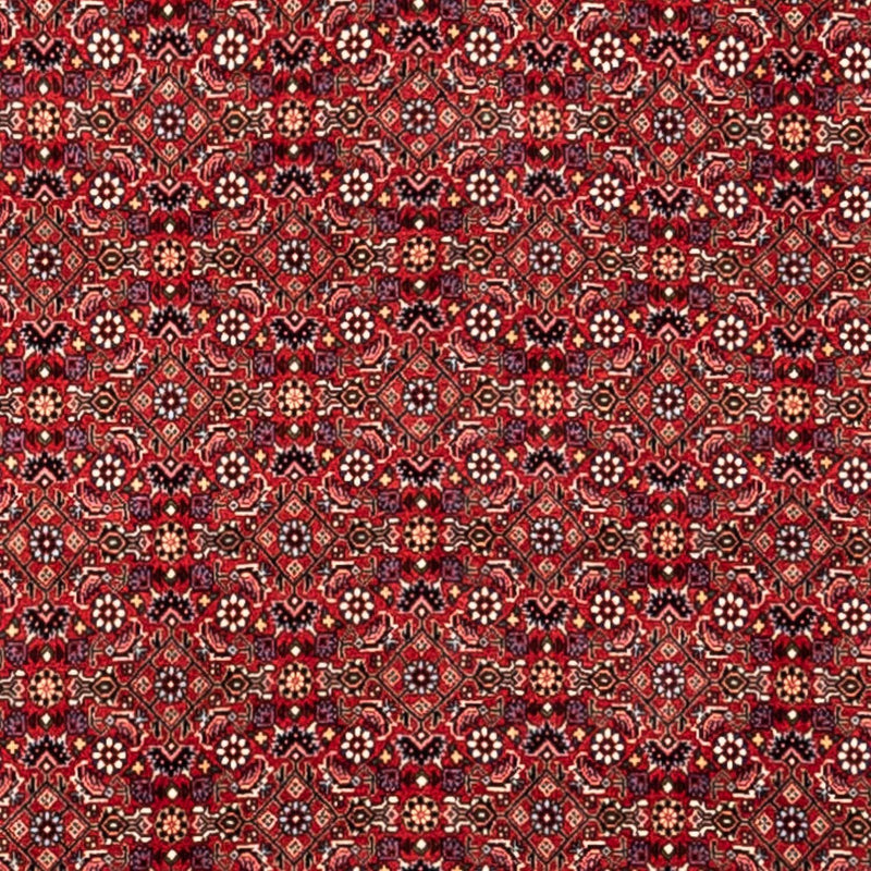 Bidjar - Takab Tapete 340x252cm - Tapete persa